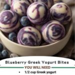 blueberry yogurt bites