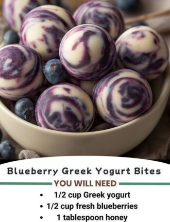 blueberry yogurt bites