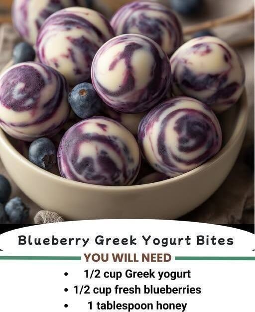 blueberry yogurt bites