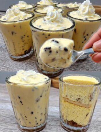 chocolate chip vanilla mousse