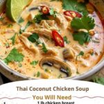 thai coconut chkicken soup