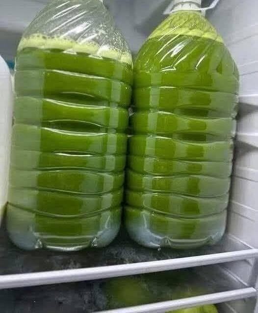 Homemade Fresh Green Juice Recipe
